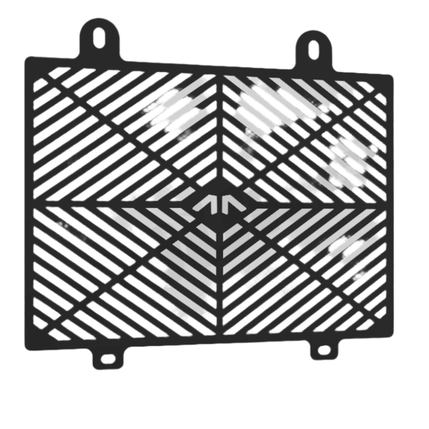 BMW 310 Radiator guard - Motourenn